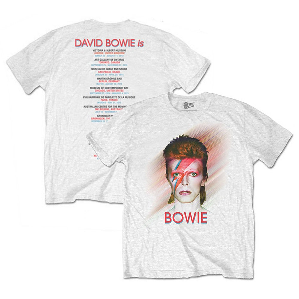 DAVID BOWIE - (生誕 80周年 ) - Bowie Is / バックプリントあり